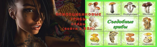 дурь Михайловск