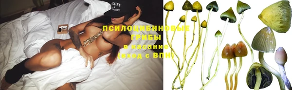 сатива Михайлов