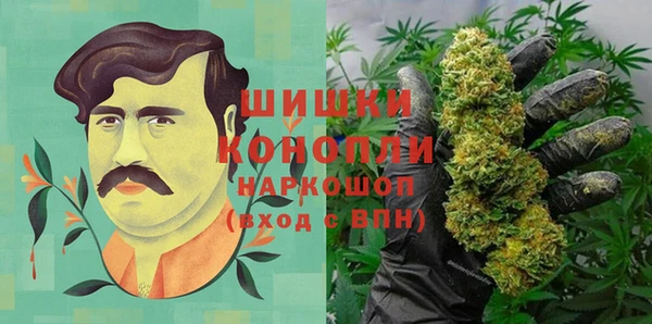 ПСИЛОЦИБИНОВЫЕ ГРИБЫ Балахна
