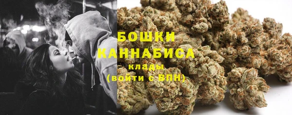 сатива Михайлов