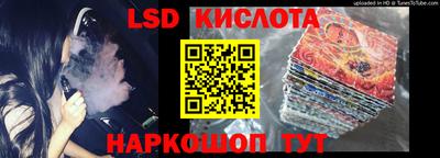 гидра Будённовск