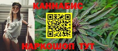 гидра Будённовск