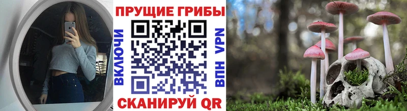 Псилоцибиновые грибы ЛСД  Губкин 