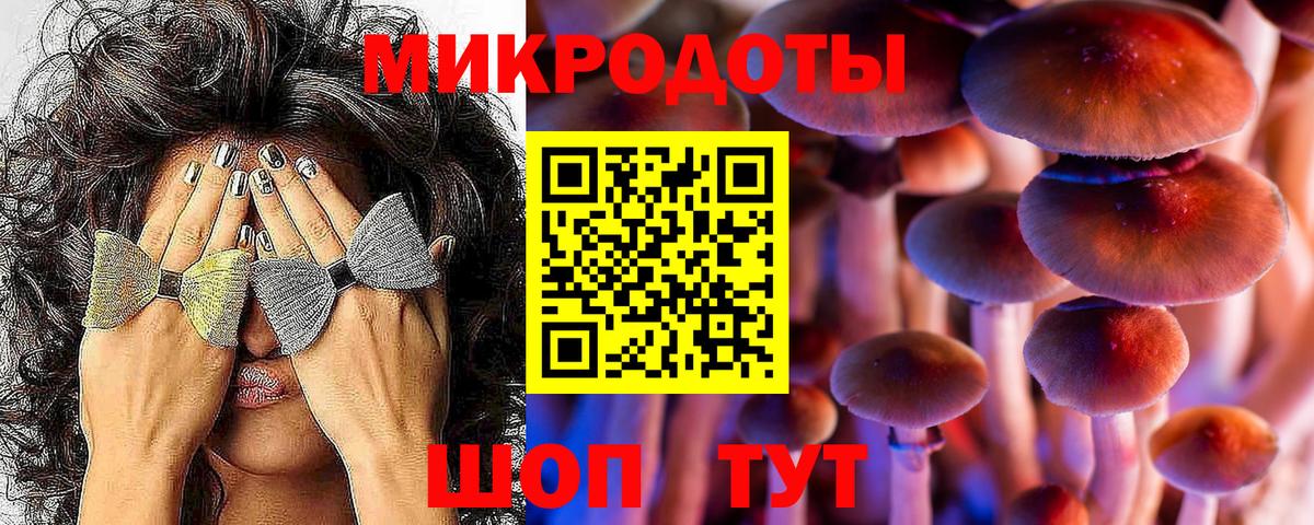 Псилоцибиновые грибы мухоморы Губкин