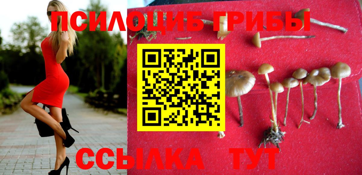 Галлюциногенные грибы ЛСД  Губкин 