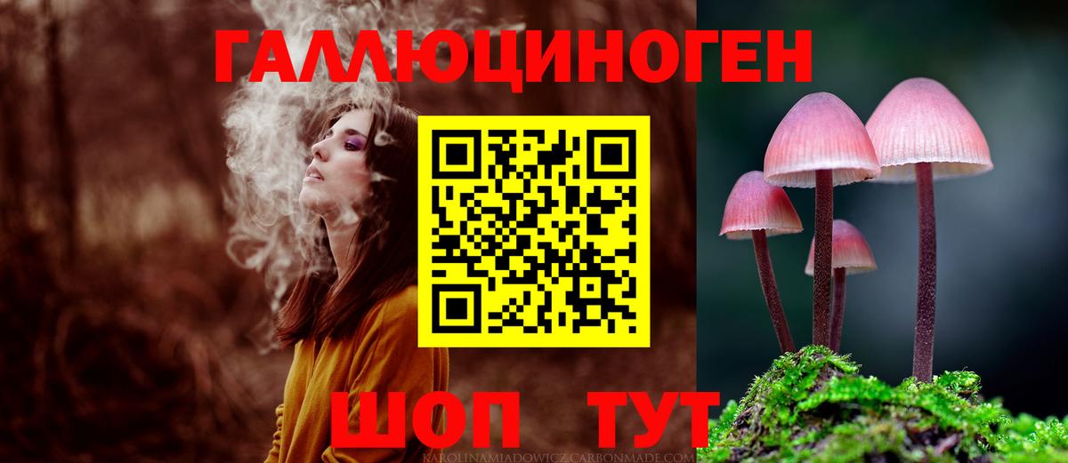 Губкин  Галлюциногенные грибы GOLDEN TEACHER  Вход с VPN 