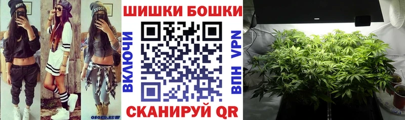 МАРИХУАНА индика  как найти   Губкин 